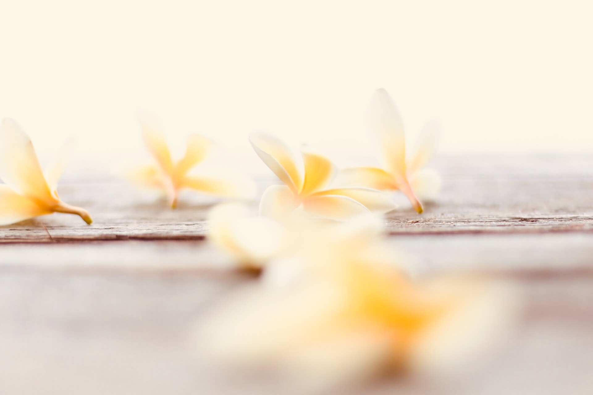 chelsea-audibert-lDEW4qMiizc-unsplash chelsea-audibert-lDEW4qMiizc-unsplash